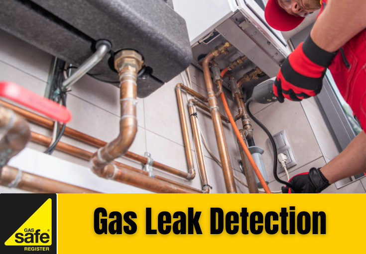 gas leak detection Sheerness